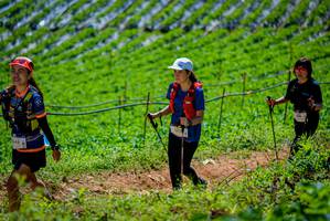 BIB: 347
                            <button type="button" onclick="openModal(19164695)" class="btn btn-primary btn-sm float-right btn-popup" data-toggle="modal" data-target=".modal-high-quality">
                        <i class="fas fa-shopping-cart"></i> Add to Cart
                    </button>
                                            <button type="button" onclick="isThisMe(19164695, true)" class="btn btn-success btn-sm float-right btn-popup btn-isme hidden" data-toggle="tooltip" data-placement="bottom" title="นี่คือรูปของคุณใช่ไหม คลิกที่นี่เพื่อเอาเข้าอัลบั้ม">
                        <i class="fas fa-plus"></i> Add to album
                    </button>
                    <button type="button" onclick="isThisMe(19164695, false)" class="btn btn-warning btn-sm float-right btn-popup btn-isnotme hidden">
                        <i class="fas fa-ban"></i> Remove from album
                    </button>